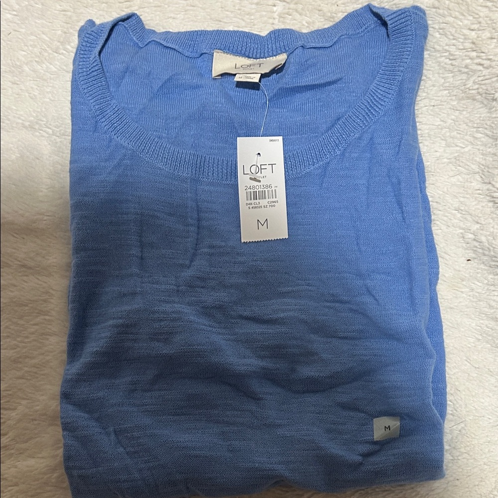 LOFT Men's Sky Blue Crewneck Sweater